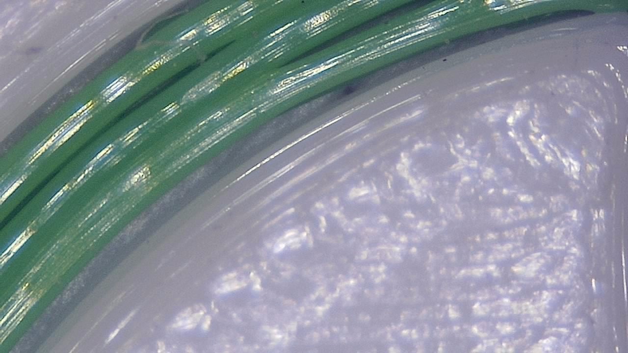 Close-up microscope image showing 3D print strand lines and surface behavior